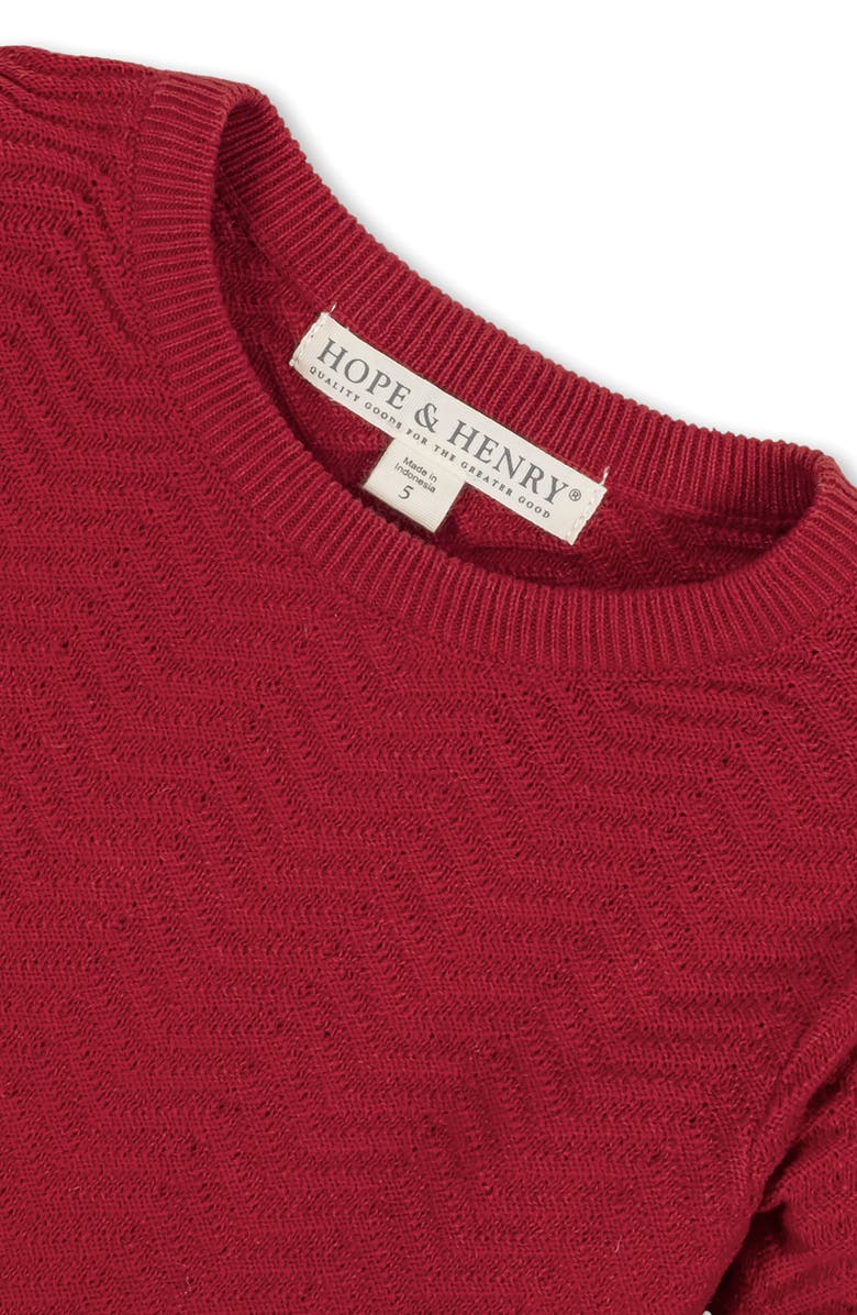 Hope & Henry Baby Girls' Organic Balloon Sleeve Sweater Dress, Infant, Alternate, color, Red Chevron
