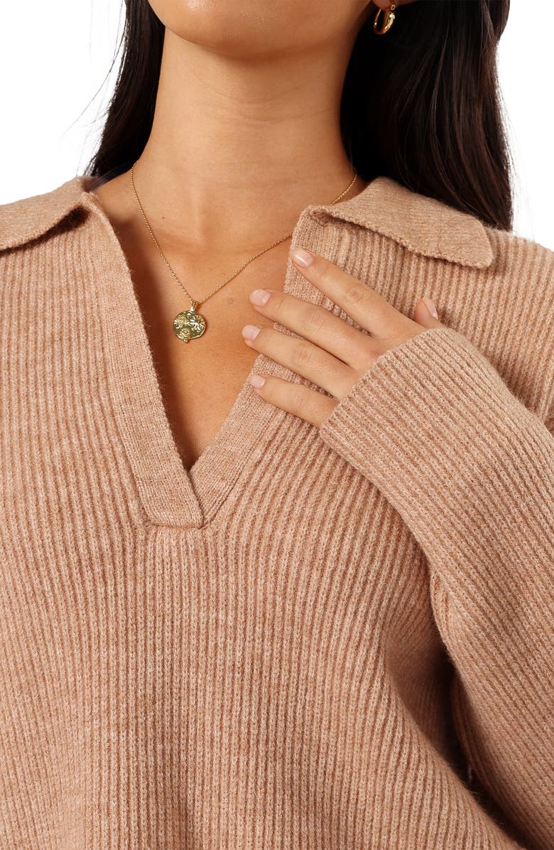 Petal & Pup Zala Johnny Collar Sweater, Alternate, color, Mocha