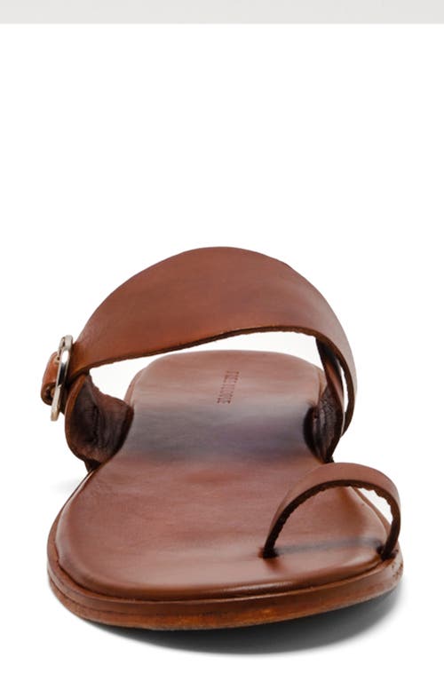 Free People Barcelona Toe Loop Sandal In Luggage Leather