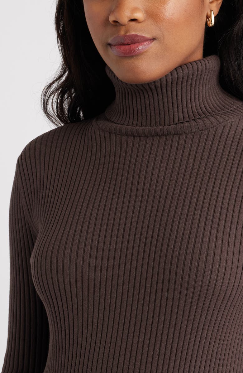 Rib Long Sleeve Turtleneck Sweater Dress