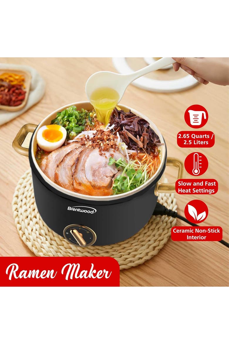 2.5 L Multi-Function Electric Hot Pot Cooker in Black, Alternate, color, Black