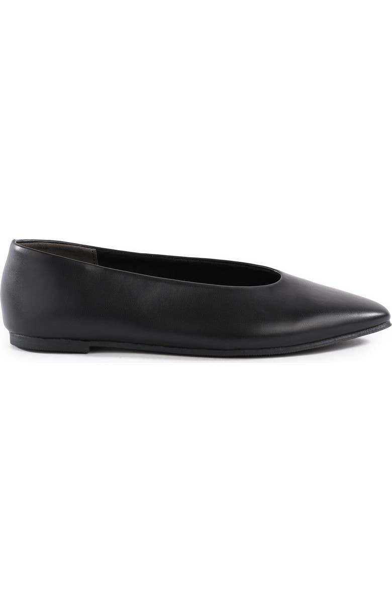 Seychelles Dreamer Pointed Toe Flat, Alternate, color,