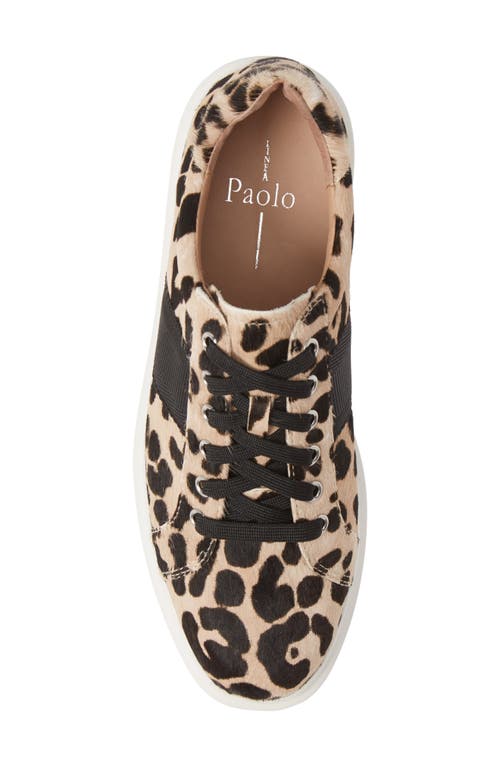 Linea Paolo Kim Sneaker In White/black Calf Hair