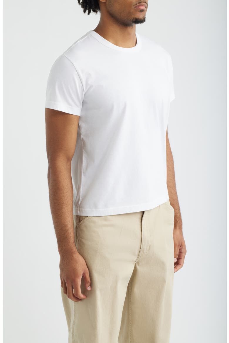 Shrunken T-Shirt, Alternate, color, WHITE