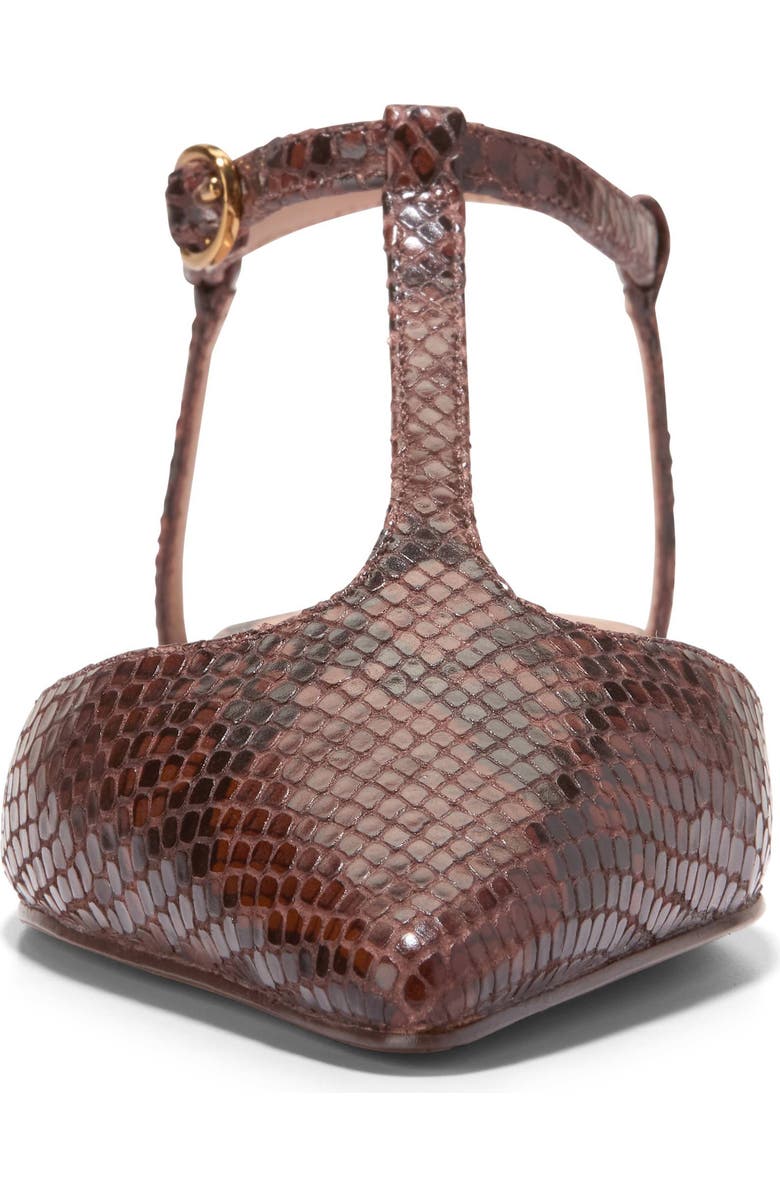 Cole Haan Marlah T-Strap Pointed Toe Ballet Flat, Alternate, color, Dark Cuoio Snake Print Leather