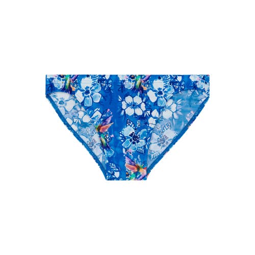 Hom Colibris Swim Micro Briefs In Blue Print