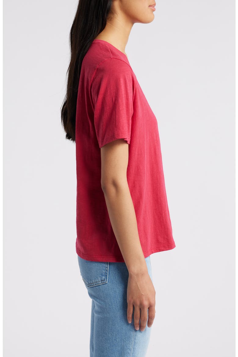 Easy V-Neck Organic Cotton T-Shirt, Alternate, color, AZALA