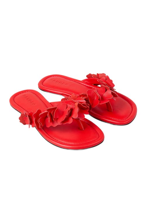 Sandro Floral Leather Sandals