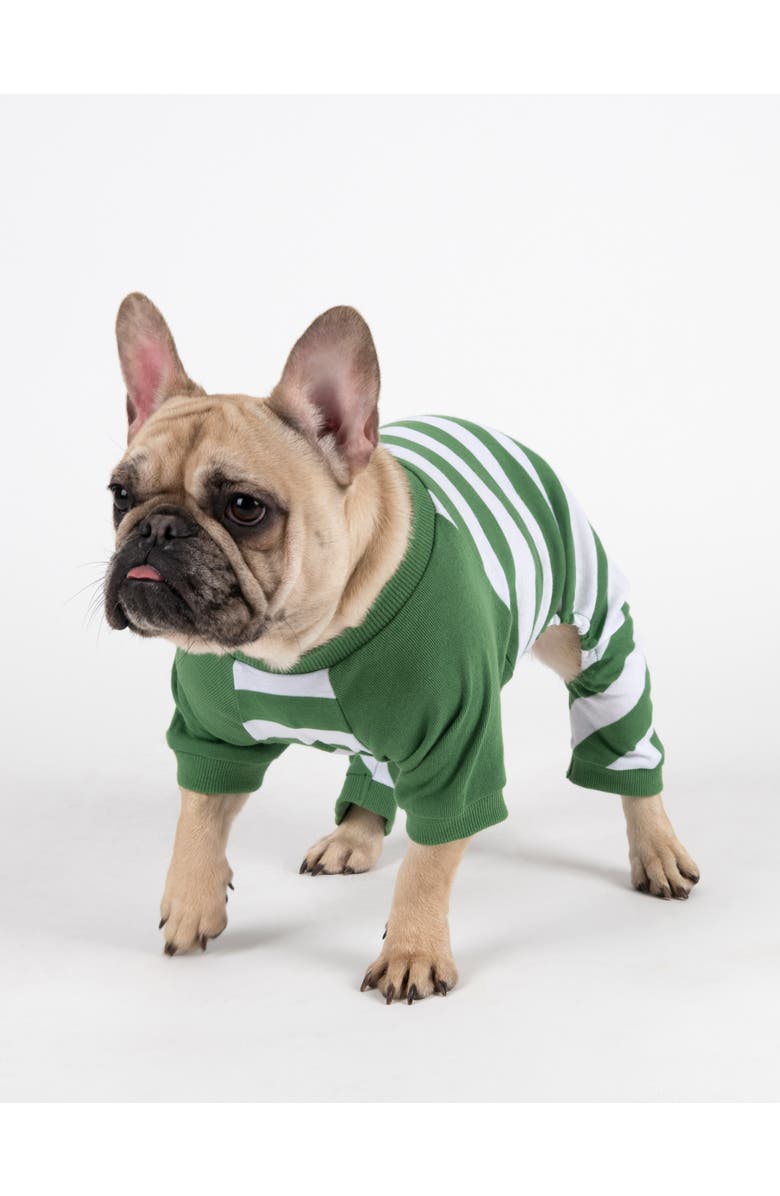 Leveret Dog Cotton Striped Matching Family Holiday Pajamas, Main, color, Green & White