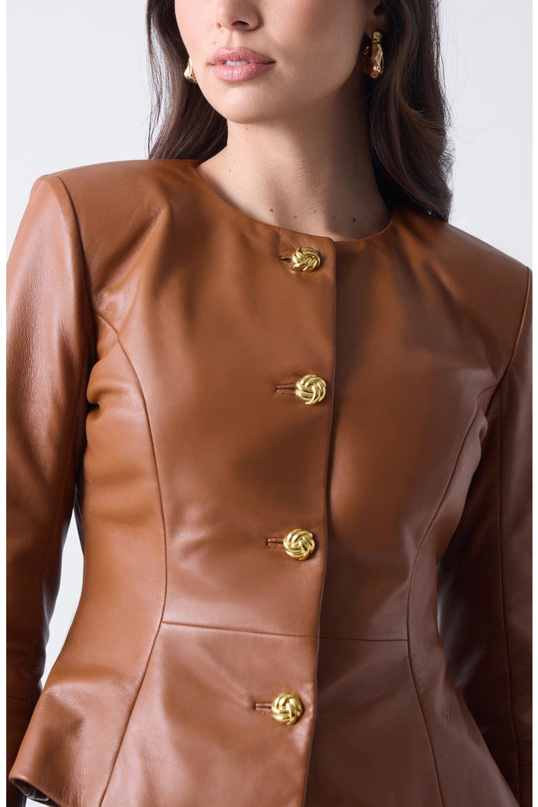 Cara Leather Jacket, Alternate, color, BROWN