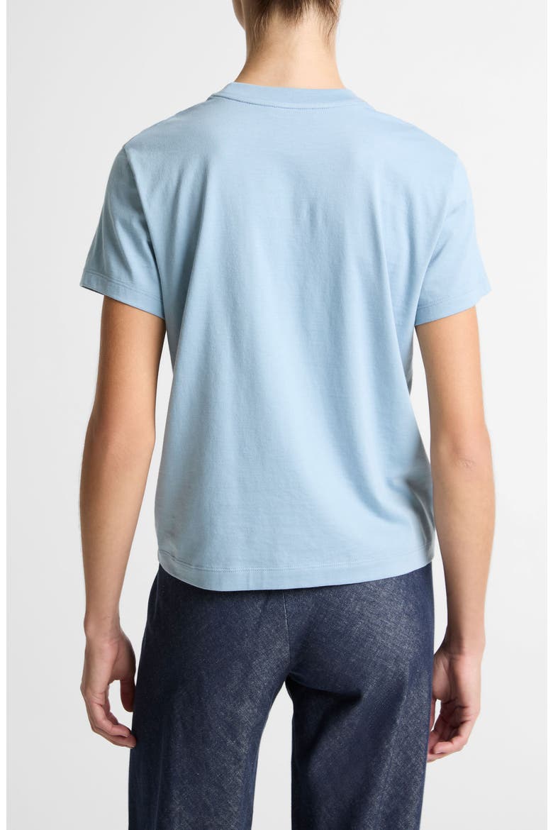 Pima Cotton Crewneck T-Shirt, Alternate, color, DEL MAR
