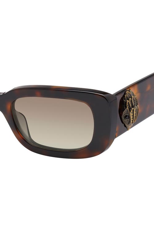 Kurt Geiger London 52mm Rectangular Sunglasses In Brown