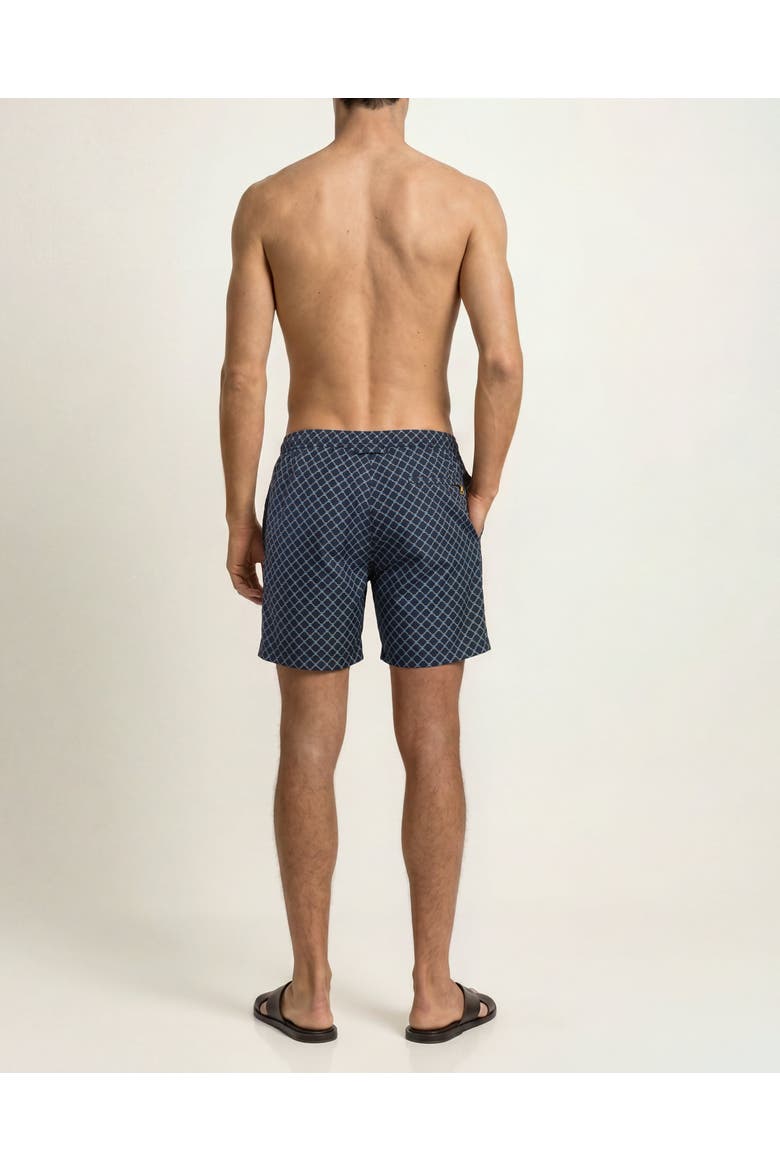 Bulldog Drawcord Printed Tessoro Swim Shorts, Alternate, color, LAGO BLUE