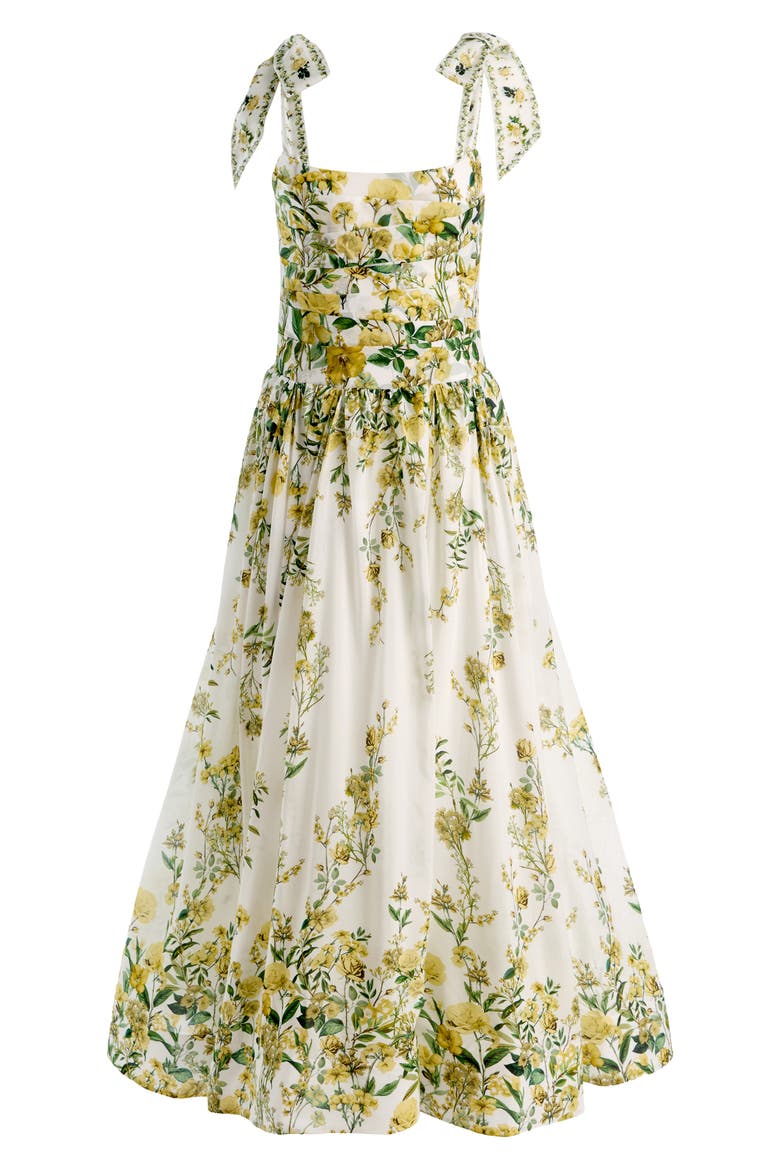 alice and olivia haven pleated printed chiffon maxi dress Haven Cotton & Silk Fit & Flare Maxi Dress (Women)
