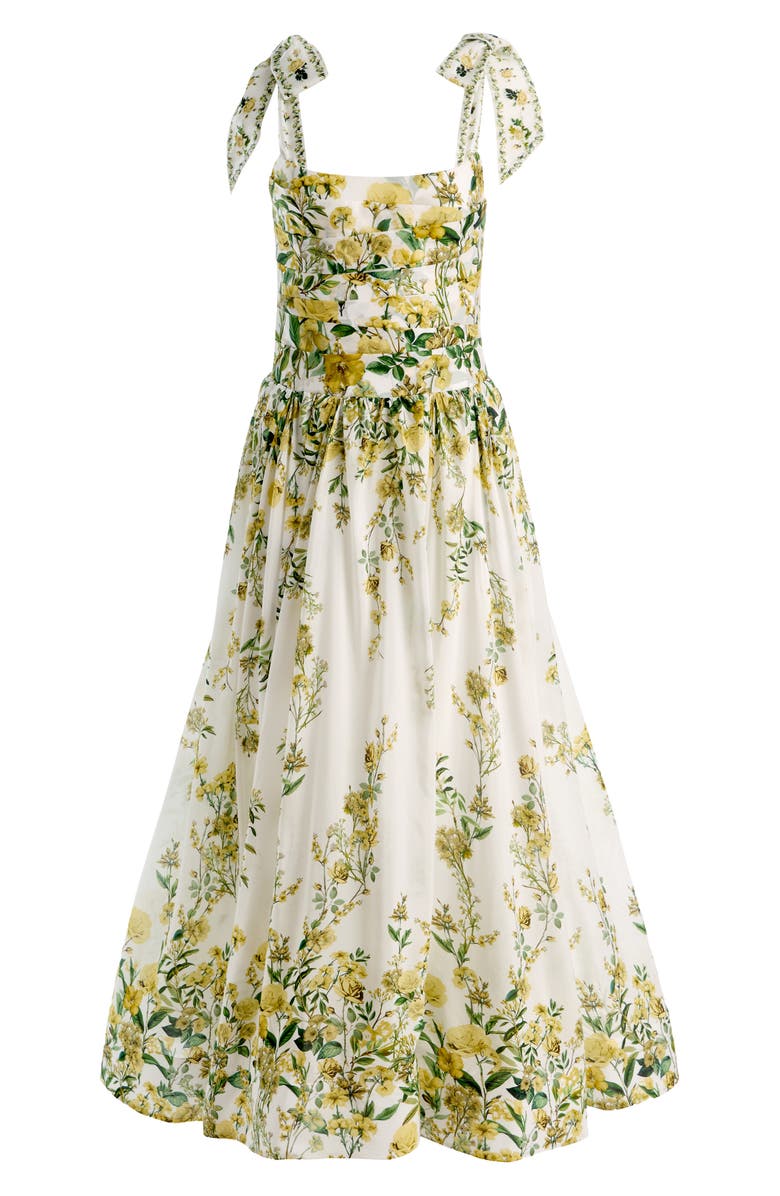Alice + Olivia Haven Cotton & Silk Fit & Flare Maxi Dress, Alternate, color, Fresh Air Butter