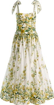 Alice + Olivia Haven Cotton & Silk Fit & Flare Maxi Dress