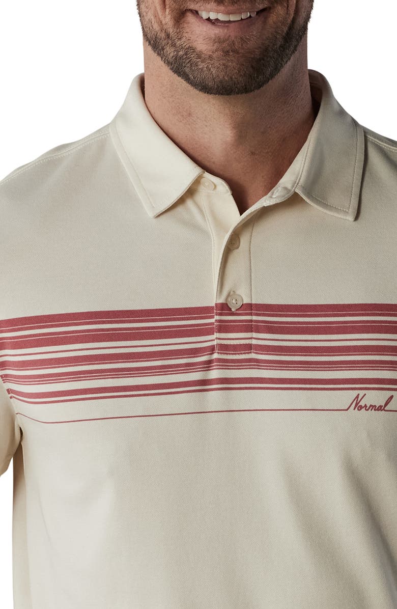 The Normal Brand Chip Piqué Polo, Alternate, color, 