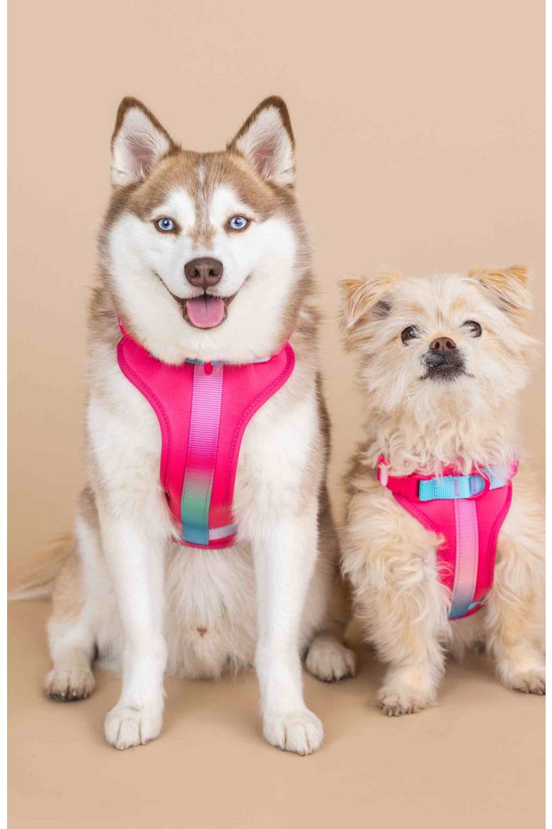 Stasia Dog Harness, Alternate, color, Stasia