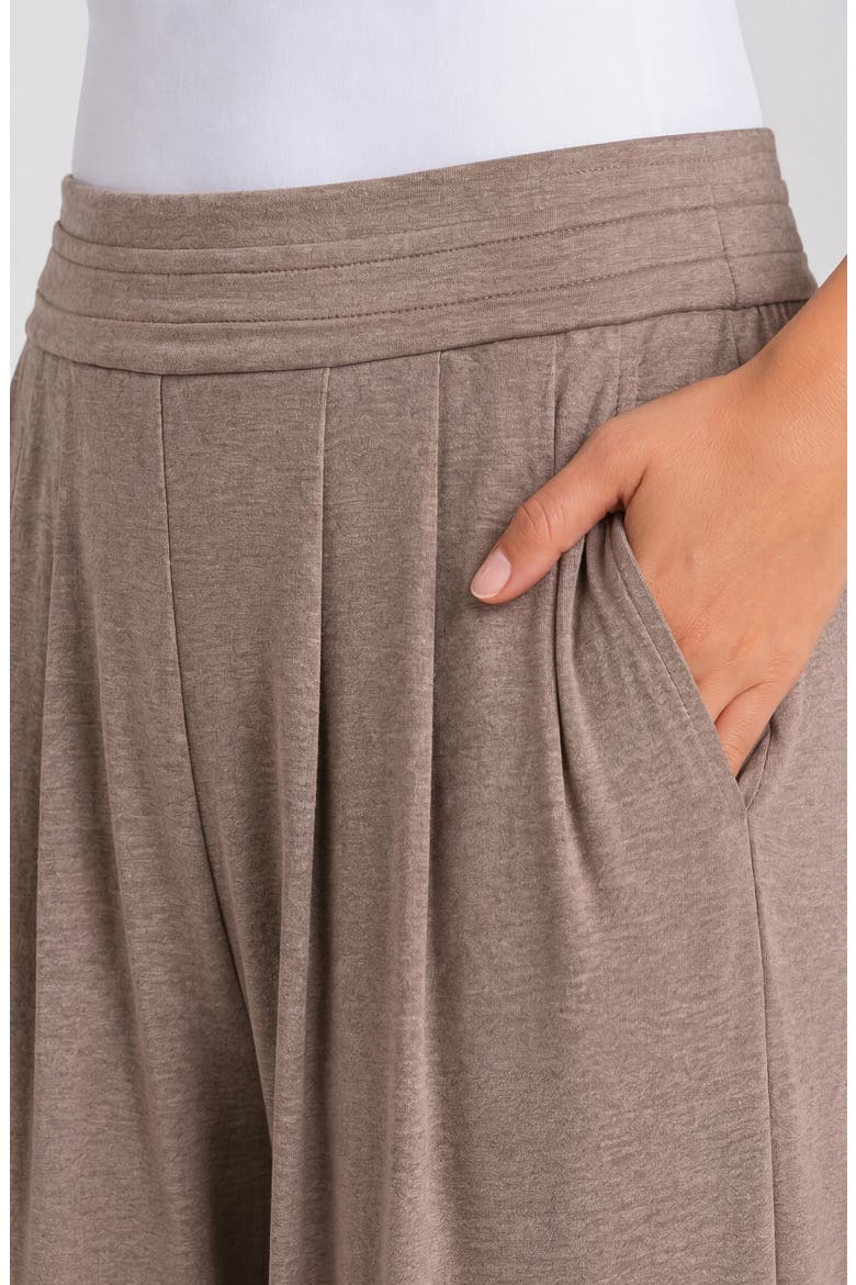 Pleat Front Pull On Wide Leg Pants, Alternate, color, HEATHERED TAUPE
