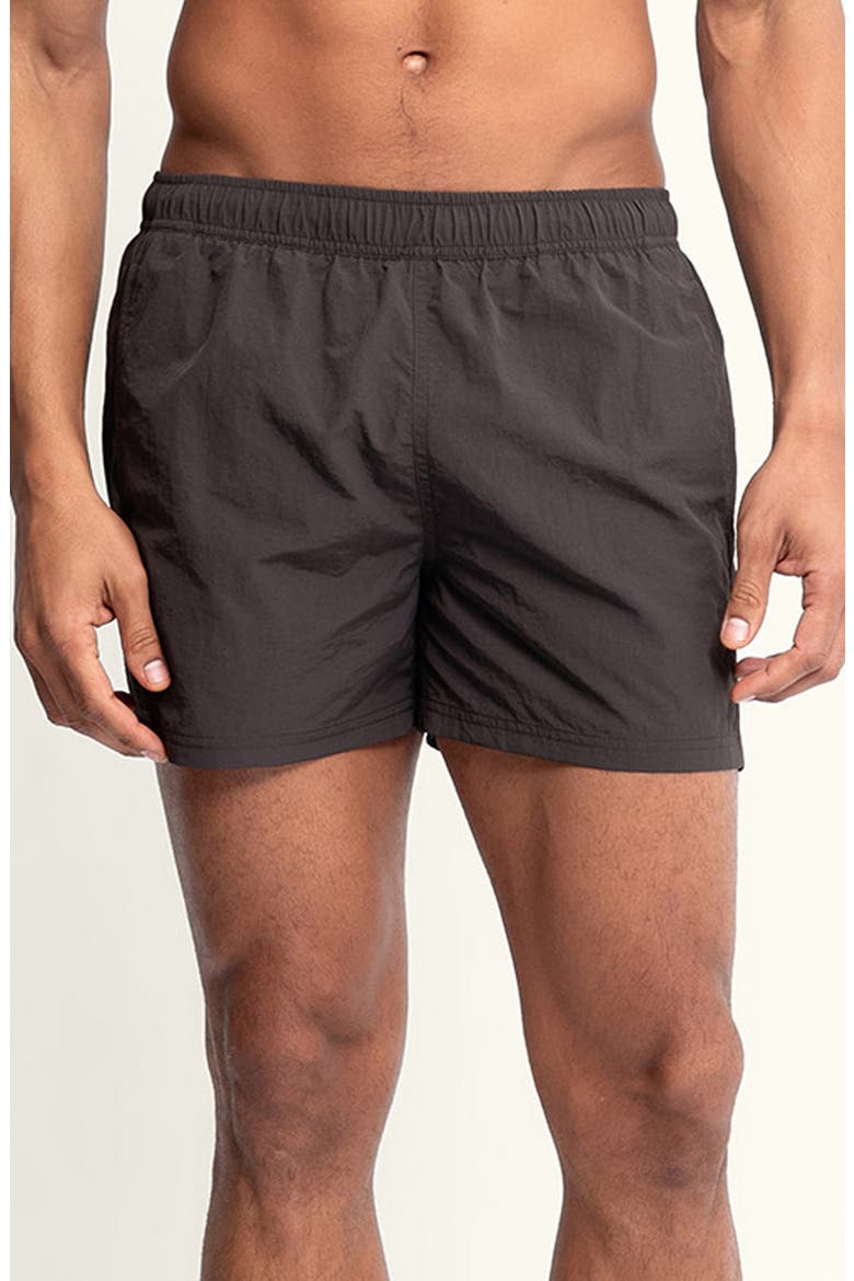 Sebastian Solid 4-Inch Nylon Swim Trunks, Main, color, MOLINO/ BROWN