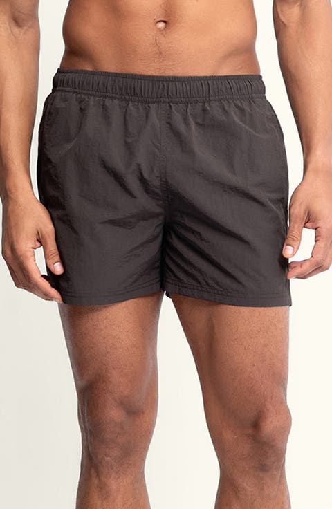 Sebastian Solid 4-Inch Nylon Swim Trunks