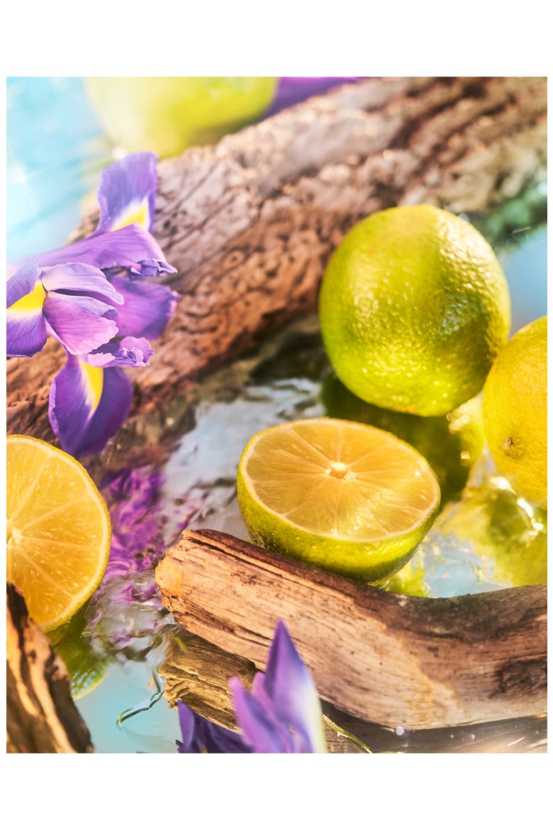 Oceania Parfum, Alternate, color, NO COLOR
