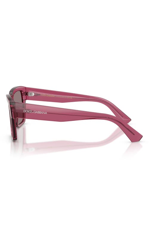 Dolce & Gabbana Dolce&gabbana 55mm Square Sunglasses In Transparent Bordeaux/purple