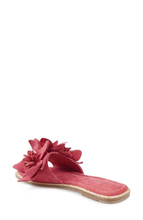 Zigi Artisan Aurra Slide Sandal In Pink