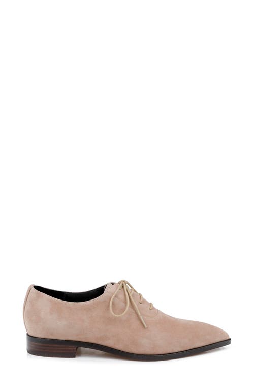 L AGENCE L'AGENCE ELISE III POINTED TOE OXFORD 