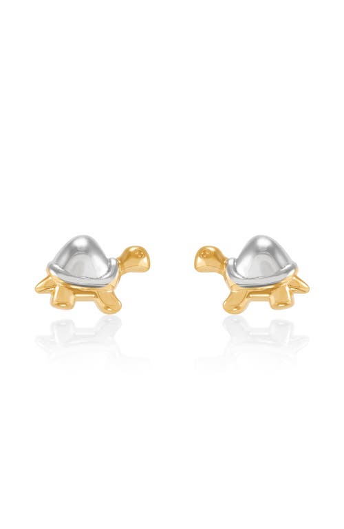 Frankie & Zoe Turtle Stud Earrings In Gold