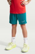 Nike Kids' Dri-FIT Training Shorts
