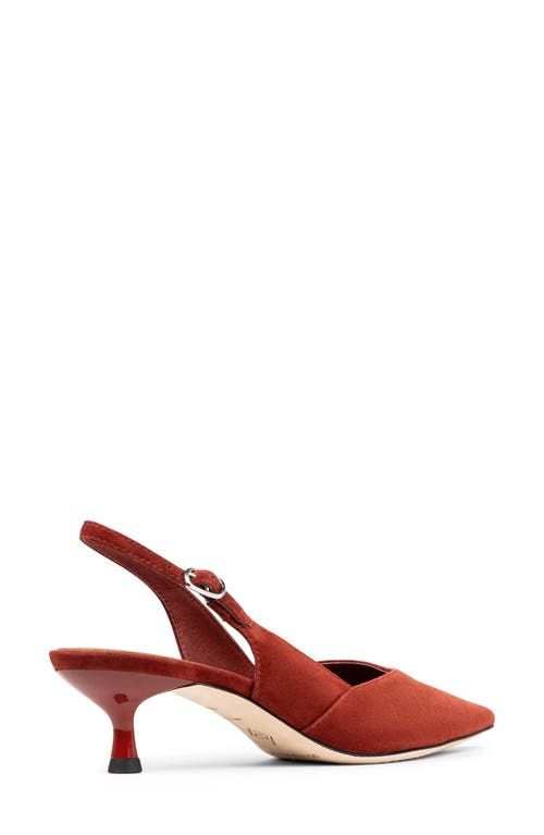Donald Pliner Pointed Toe Slingback Pump