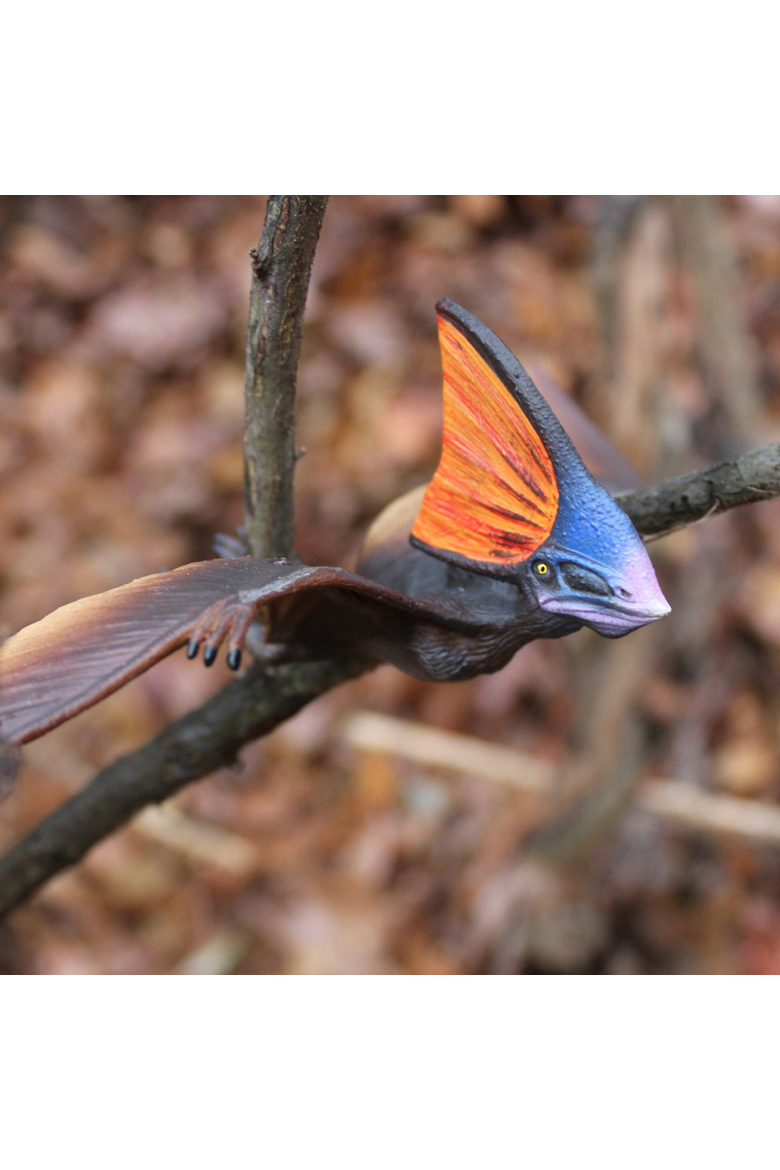 Tapejara Toy, Alternate, color, No Color