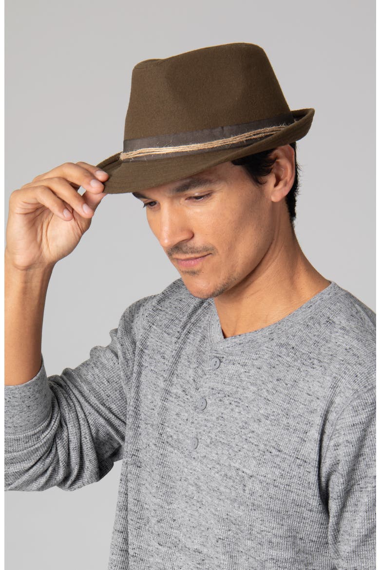 Stingy Curved Brim Fedora, Alternate, color, BROWN