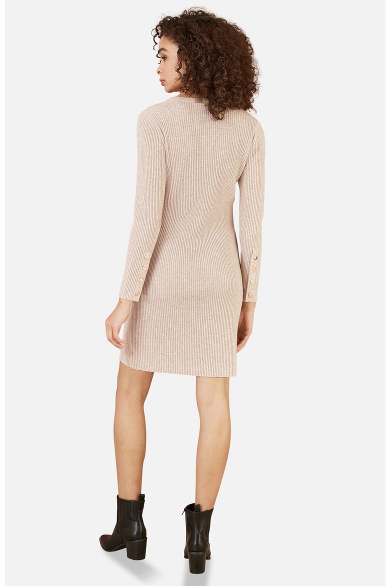 Rib Knit Tunic Dress, Alternate, color, Oatmeal