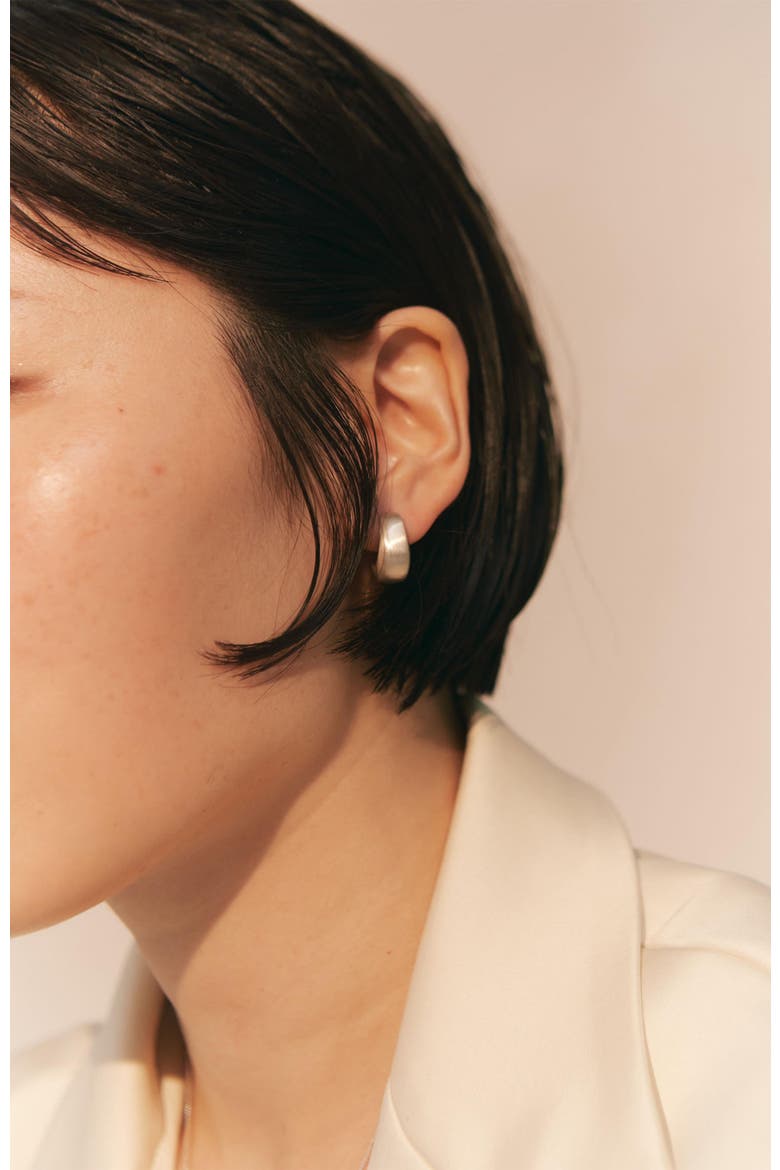Curved Earrings, Alternate, color, Silver