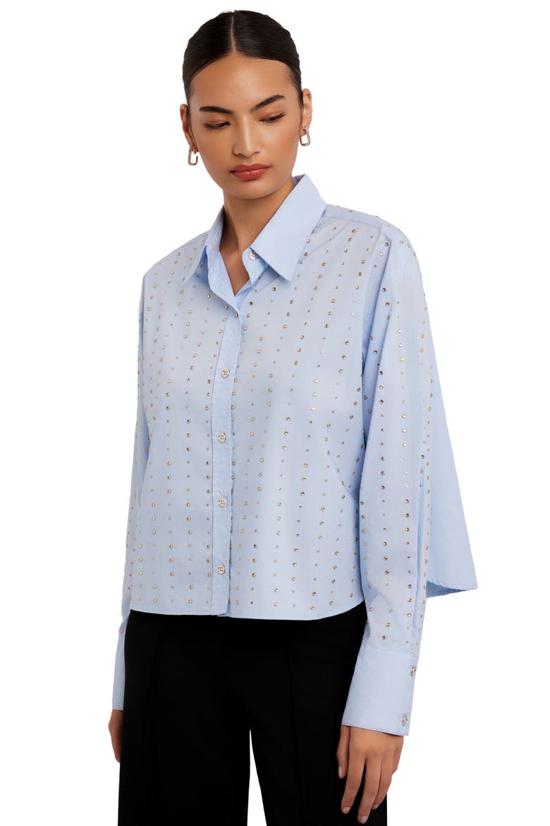 Lisa Embellished Cotton Button Up Shirt, Alternate, color, SKY BLUE