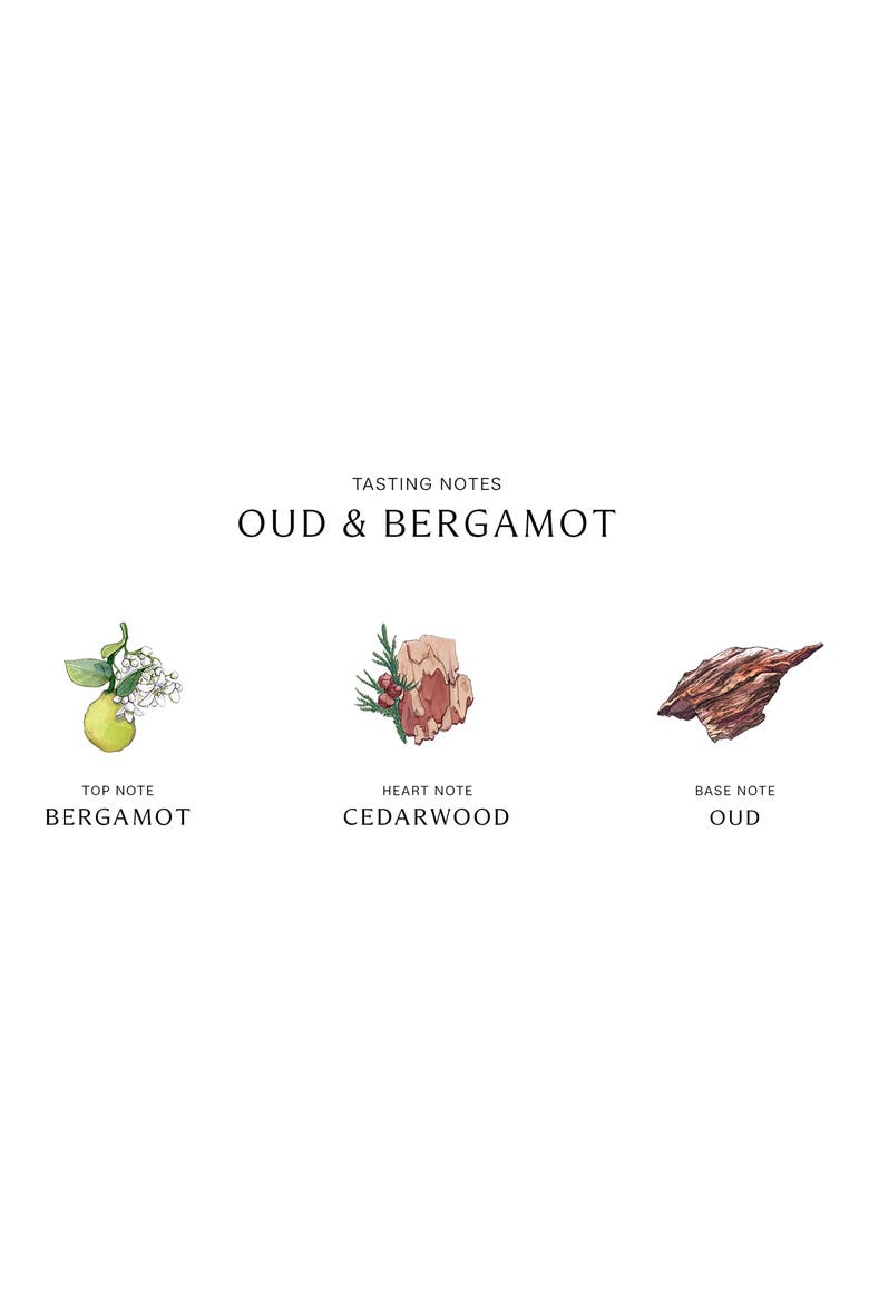 Oud & Bergamot Cologne Intense, Alternate, color, NO COLOR