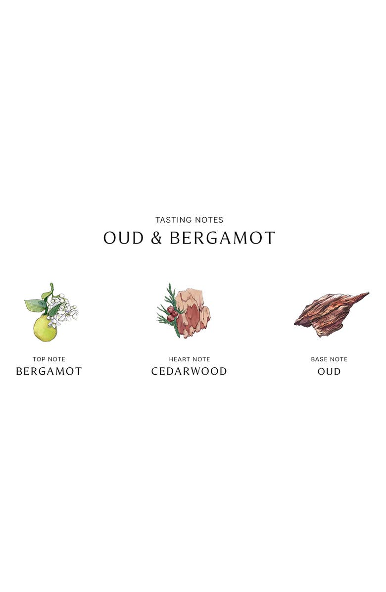 Jo Malone London<sup>™</sup> Oud & Bergamot Cologne Intense, Alternate, color, 