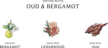 Oud & Bergamot Cologne Intense
