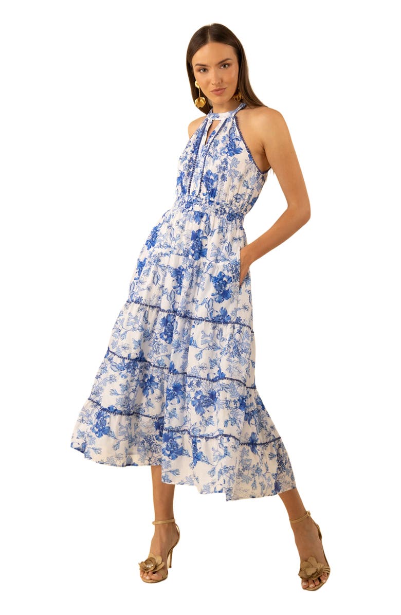 Hale Bob Denver Voile Dress, Main, color, 