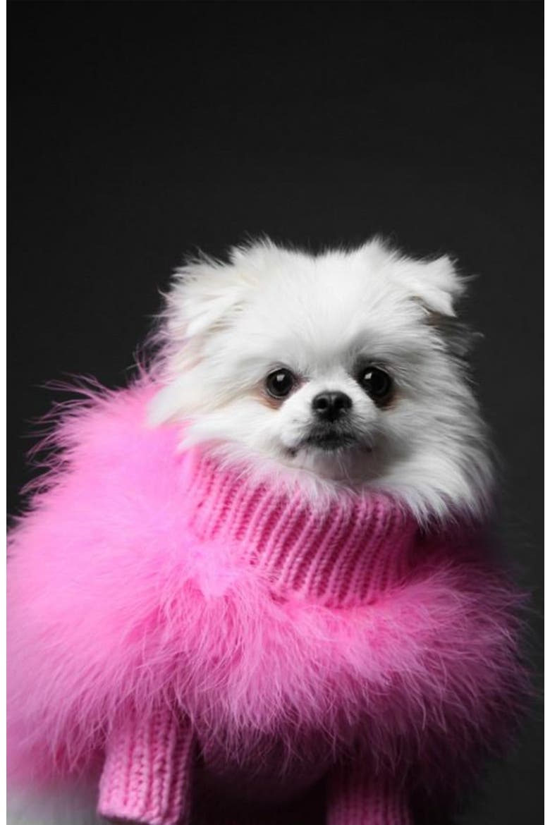 Christian Cowan Fluffy Dog Sweater, Alternate, color, PINK