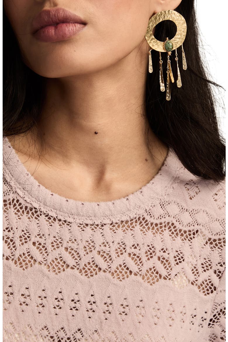 Lace Long Sleeve Crewneck Top, Alternate, color, SEPIA ROSE