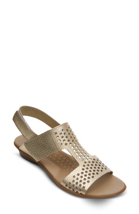 Elicia Slingback Sandal (Women)