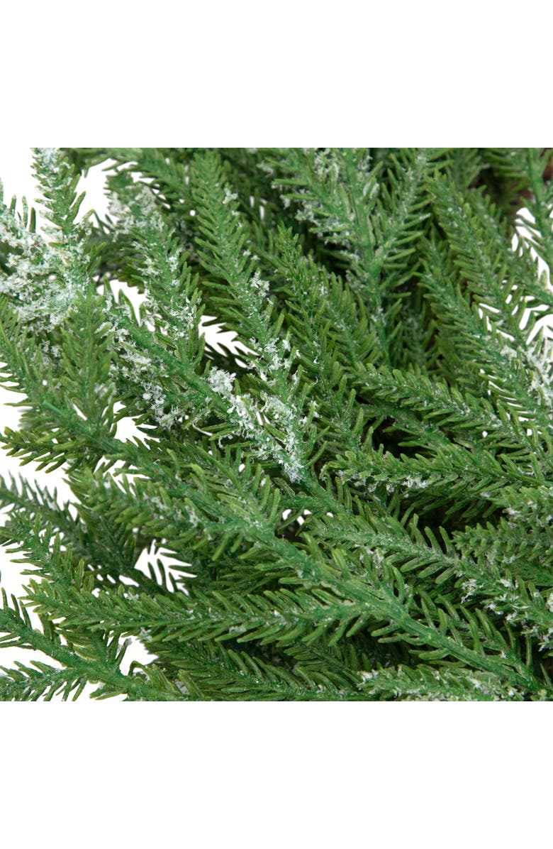 Northlight Frosted Norfolk Pine Artificial Christmas Wreath - 20" - Unlit, Alternate, color, Green