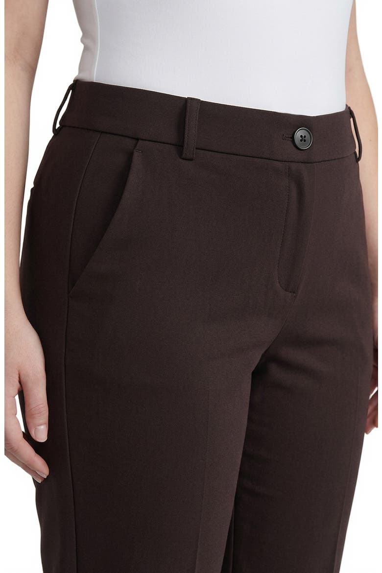 Faux Fly Trousers, Alternate, color, RICH CHOCOLATE