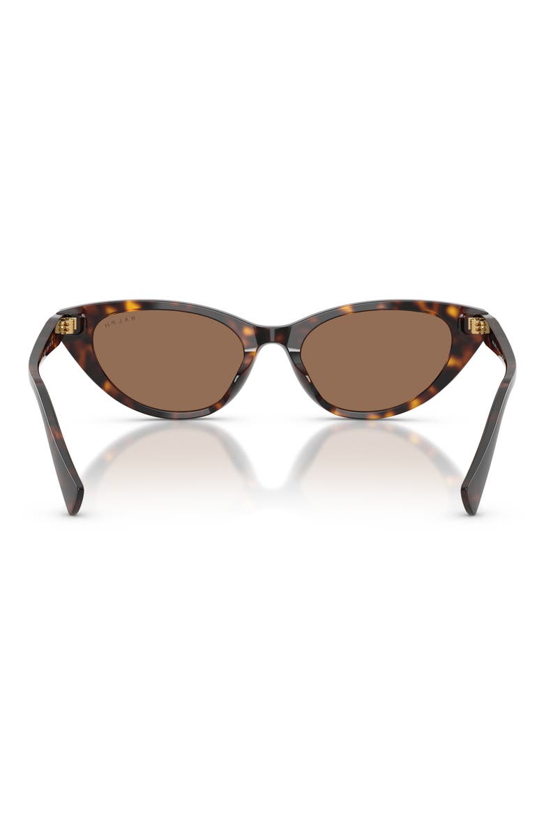 53mm Gradient Cat Eye Sunglasses, Alternate, color, SHINY DARK HAVANA / BROWN