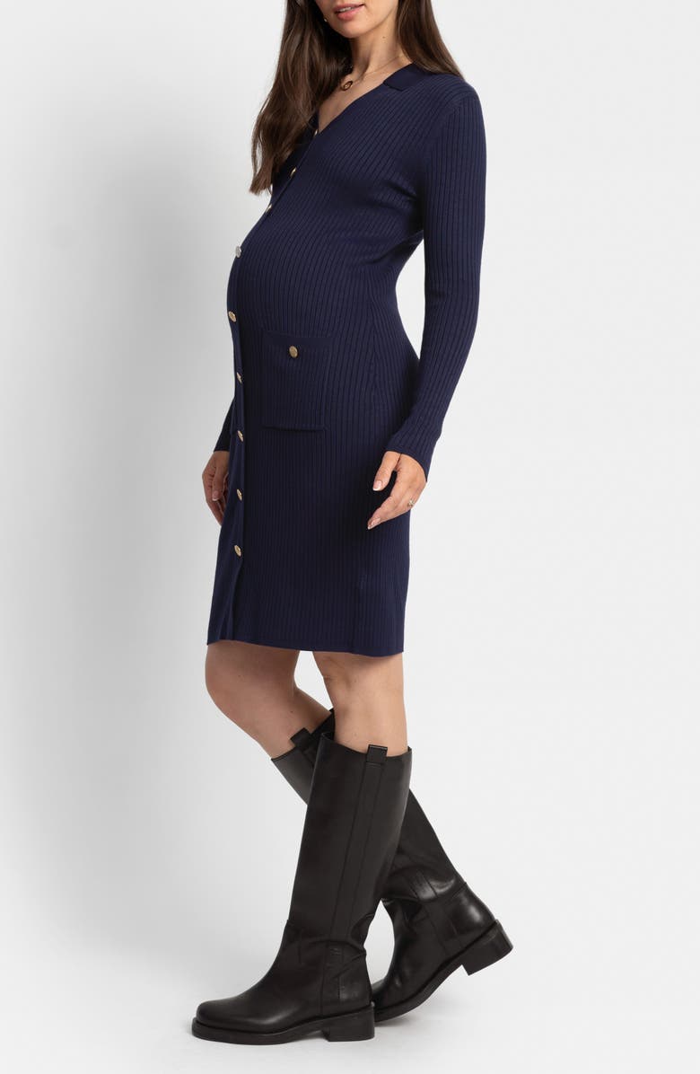 Seraphine Long Sleeve Maternity/Nursing Button-Up Sweater Dress, Alternate, color, 