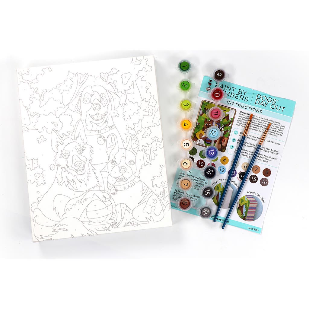 BRIGHT STRIPES Dogs' Day Out Paint by Numbers Set in Multi  product