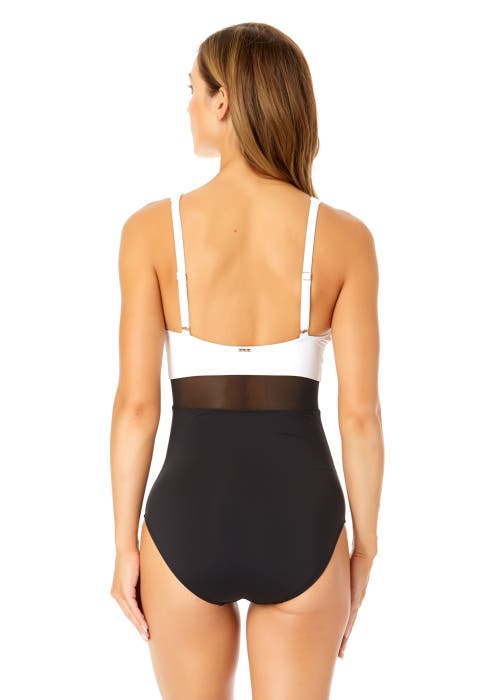 ANNE COLE MESH AROUND U RING MESH INSERT ONE PIECE SWIMSUIT